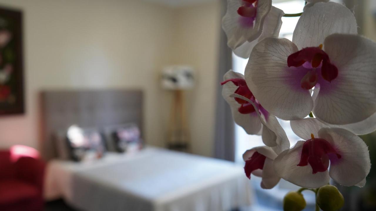 Appartement Cozy With A Sea View *